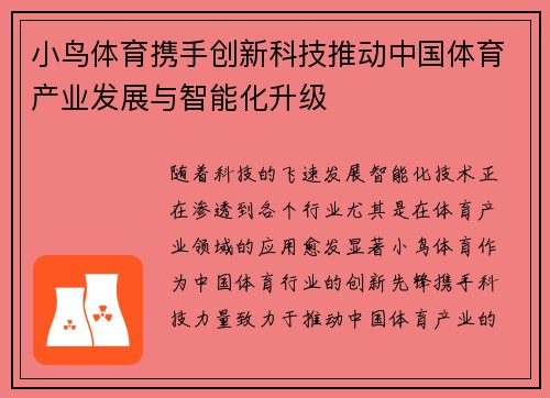 小鸟体育携手创新科技推动中国体育产业发展与智能化升级